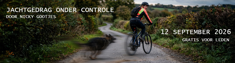 Hond jaagt fietser na