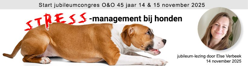 Banner Stressmanagement